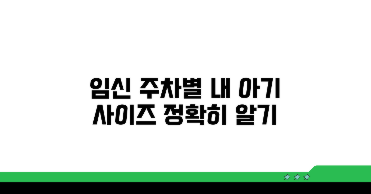 임신 주차별 사이즈 완벽 가이드