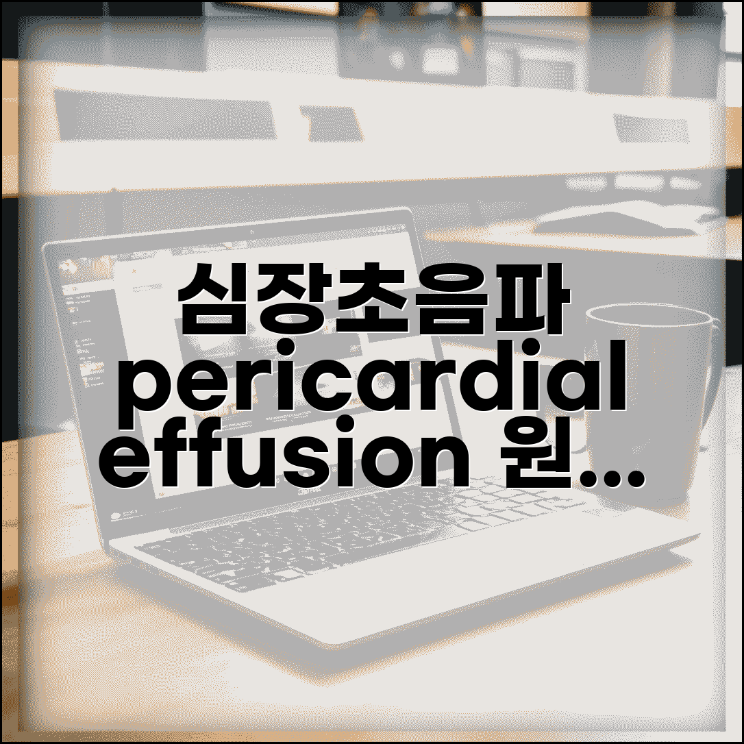 심장초음파 pericardial effusion 의미 | 심낭 삼출 원인, 증상, 치료법 총정리