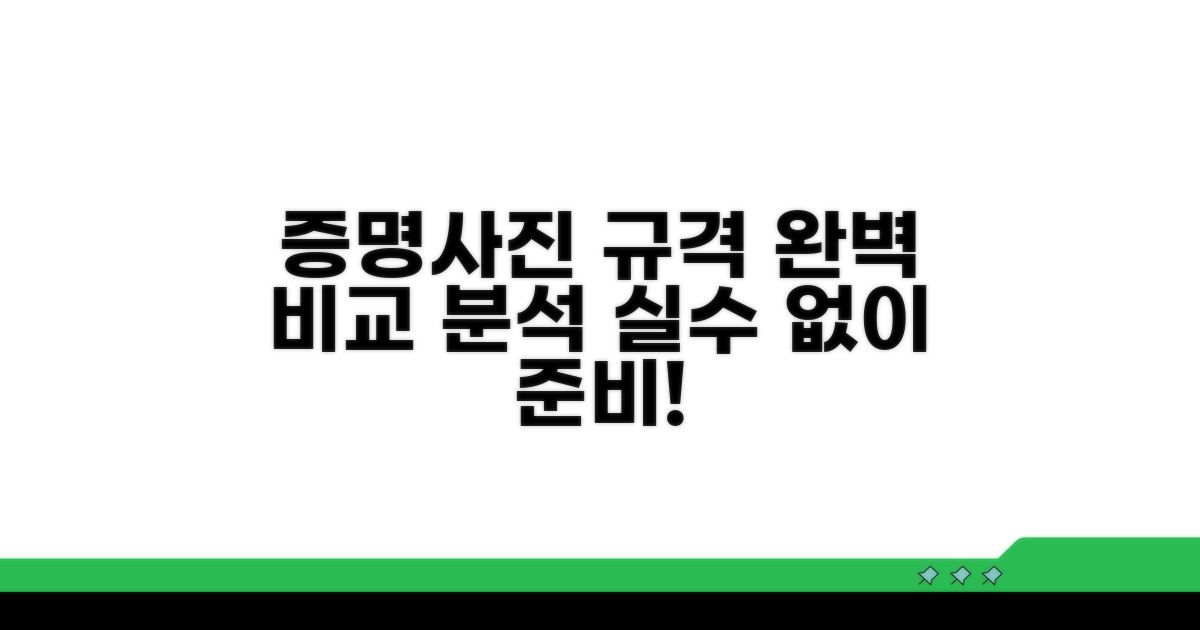 증명사진 규격 비교 분석