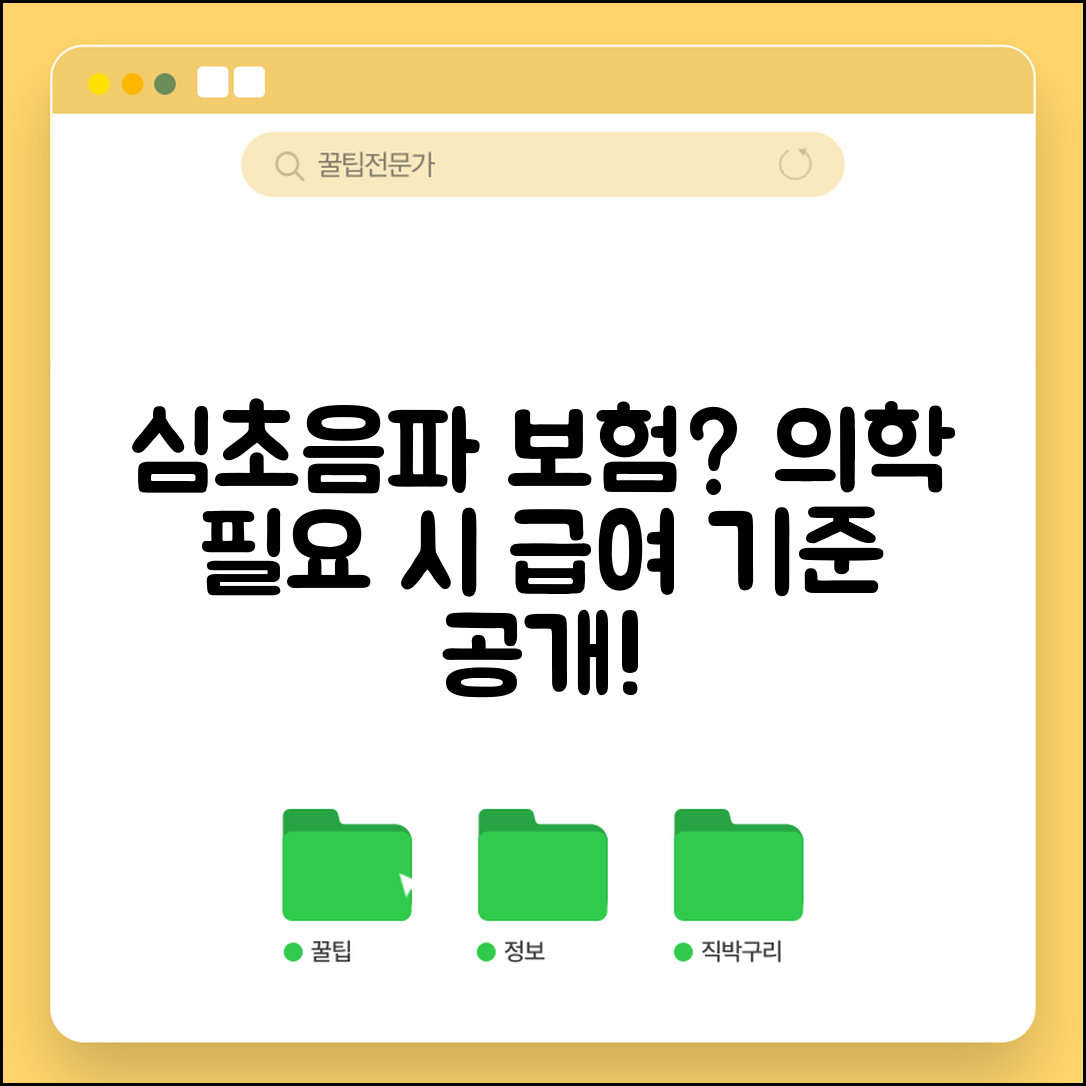심장초음파검사비용 보험 적용 조건 | 의학적 필요성에 따른 급여 기준