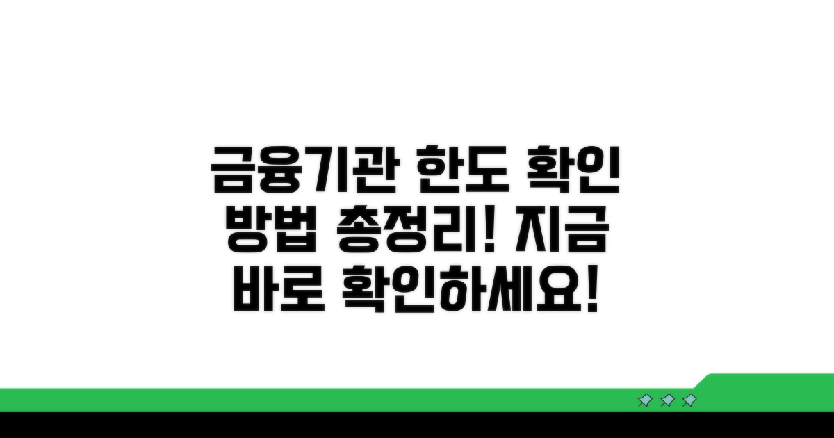 금융기관별 한도 확인하는 방법
