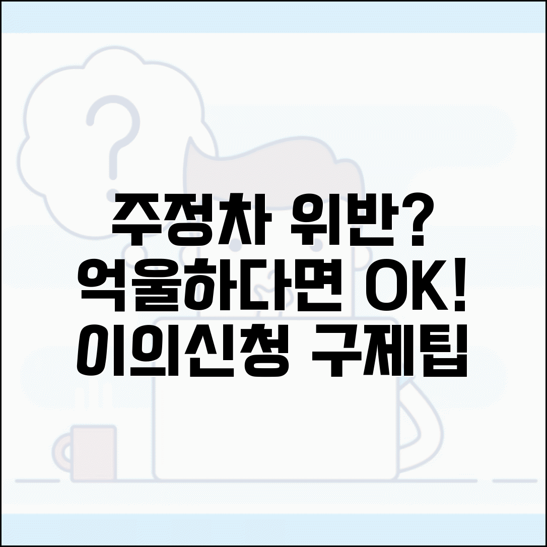 주정차 위반 이의신청 절차 | 부당 단속에 대한 행정심판 신청과 구제 방법