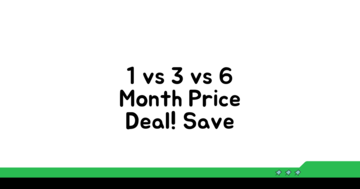 1개월 vs 3개월 vs 6개월 가격 비교