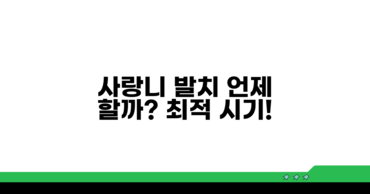 사랑니 발치, 언제 하는 게 좋을까?