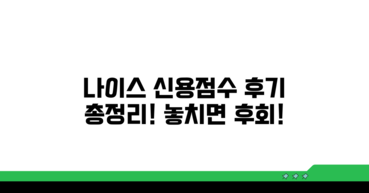 나이스 신용 조회 후기 총정리