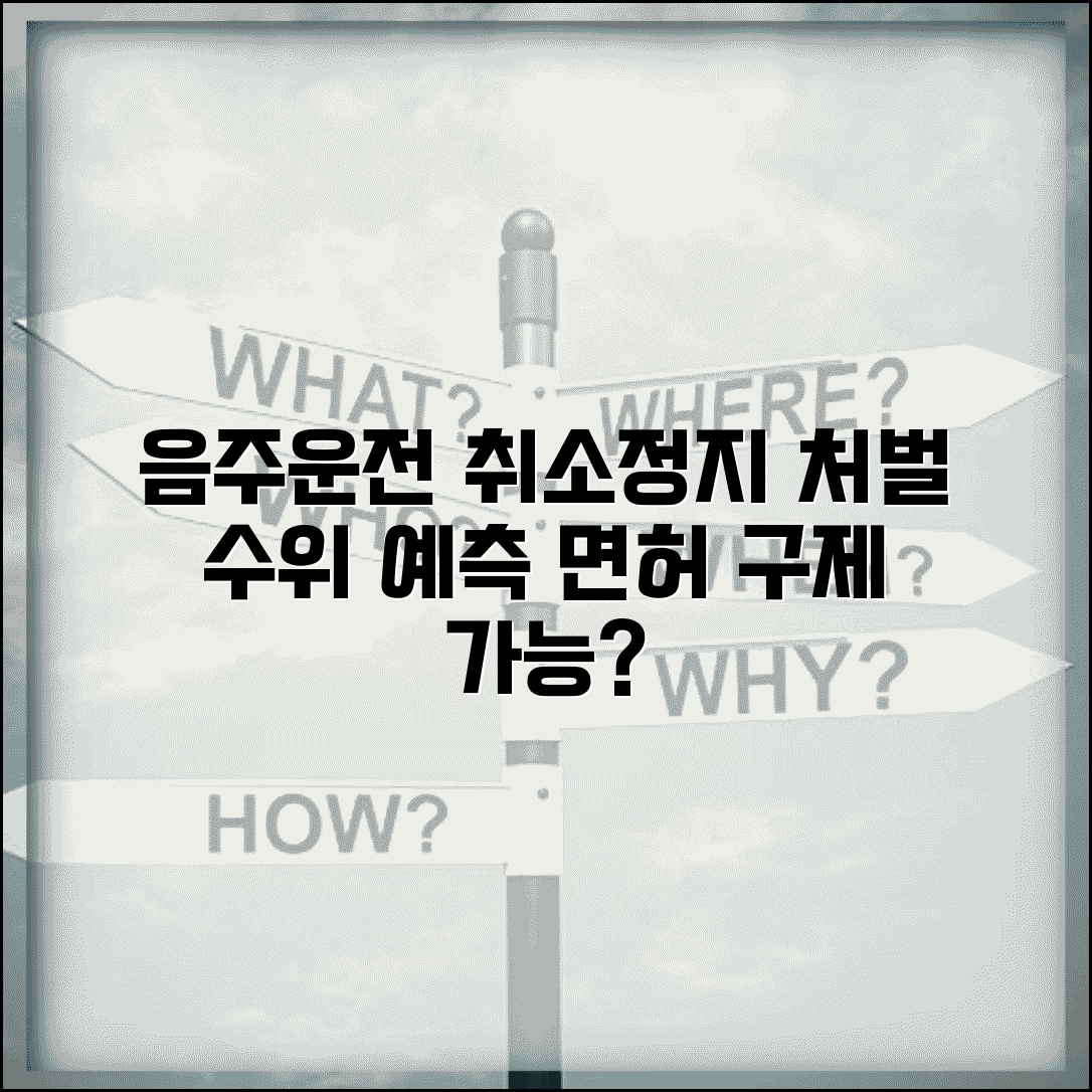 음주운전 취소 수준 단계별 정리 | 단속 시 처벌 수위 예측과 면허 구제 방법