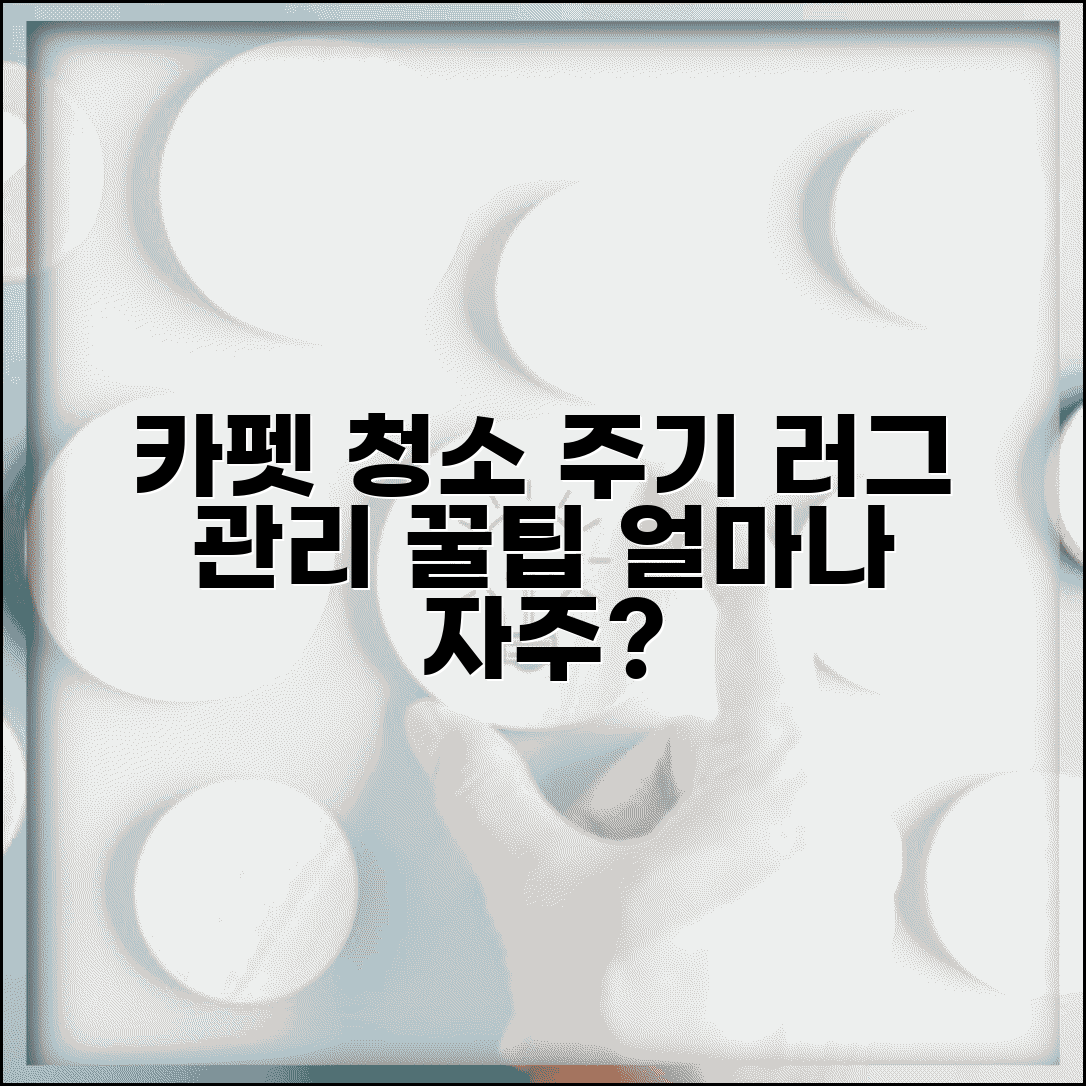 카펫 청소 주기 얼마나 자주 | 러그 관리 빈도와 방법, 쾌적하게 사용하는 꿀팁