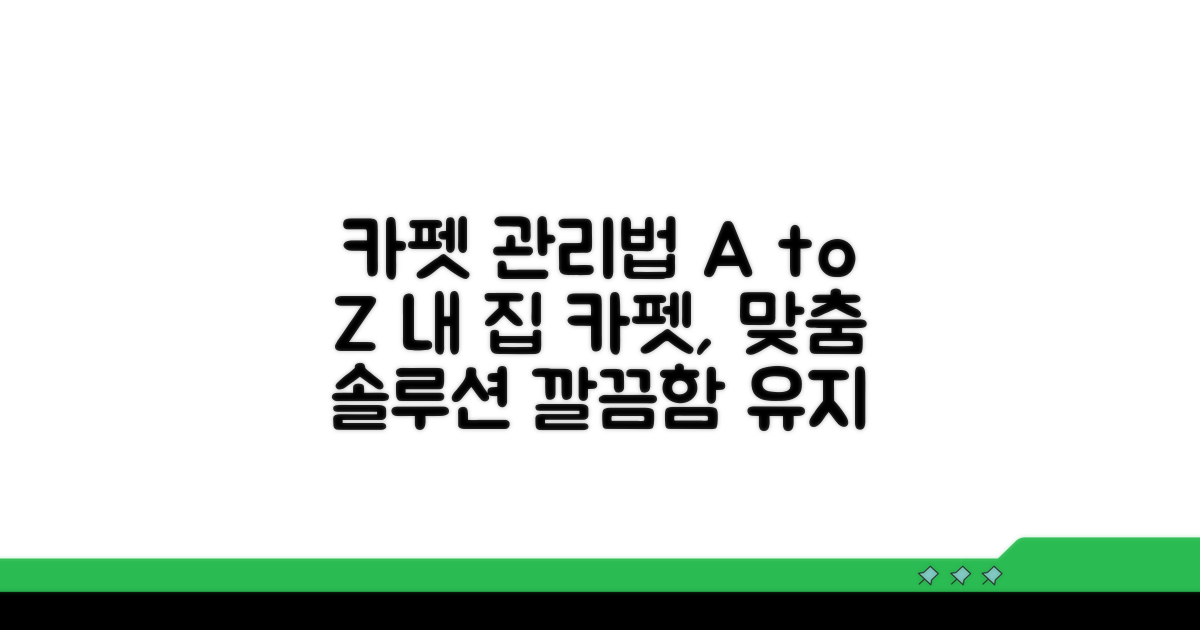 나에게 맞는 카펫 관리법 선택 가이드