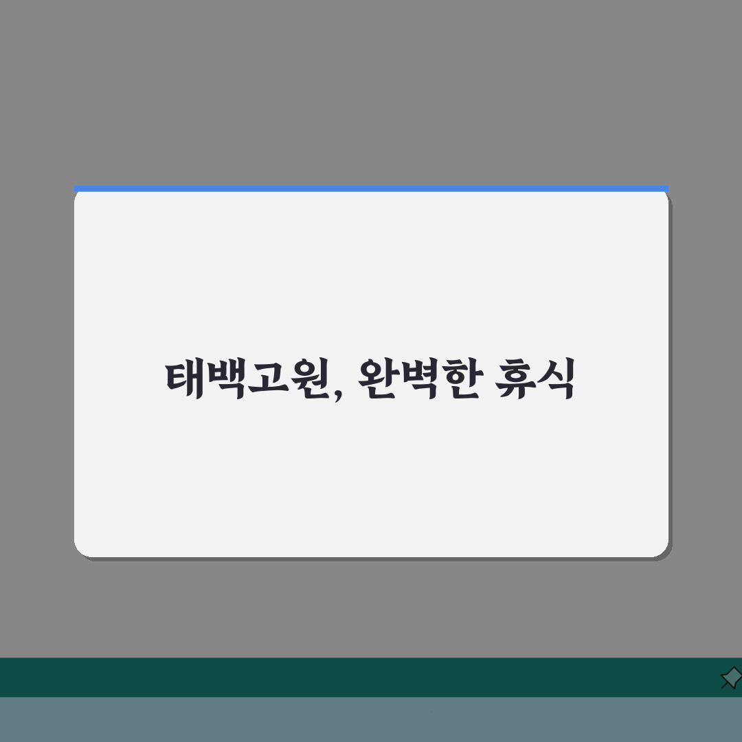 태백고원자연휴양림 예약 팁: 계절별 매력 & 주변 명소 완벽 분석