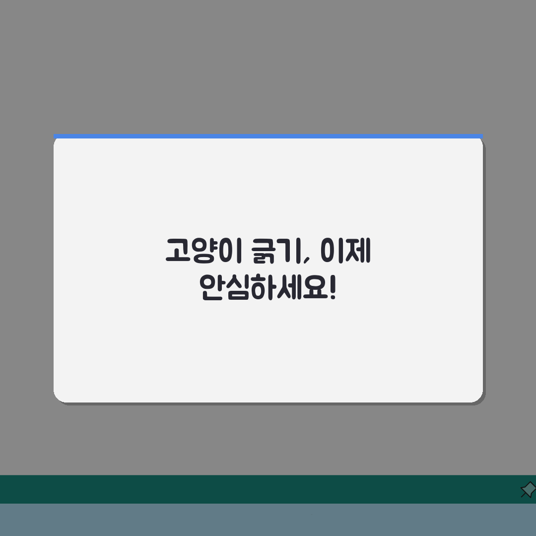 고양이가 문 긁는 행동 어떻게 막나요? 5가지 행동수정 꿀팁