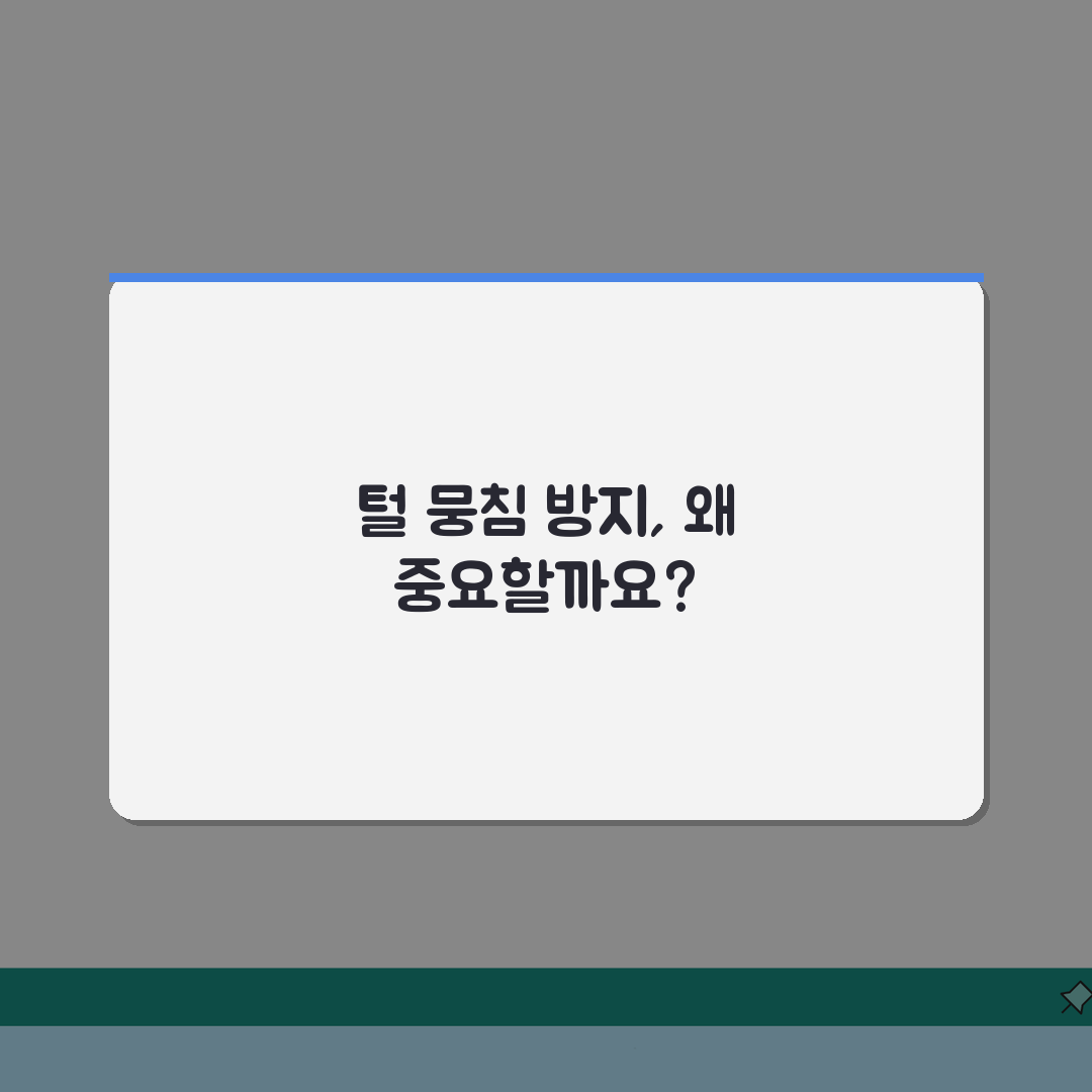 고양이 털 뭉치는 것 방지하는 방법 있나요? 털뭉침, 매트 예방 브러싱 꿀팁