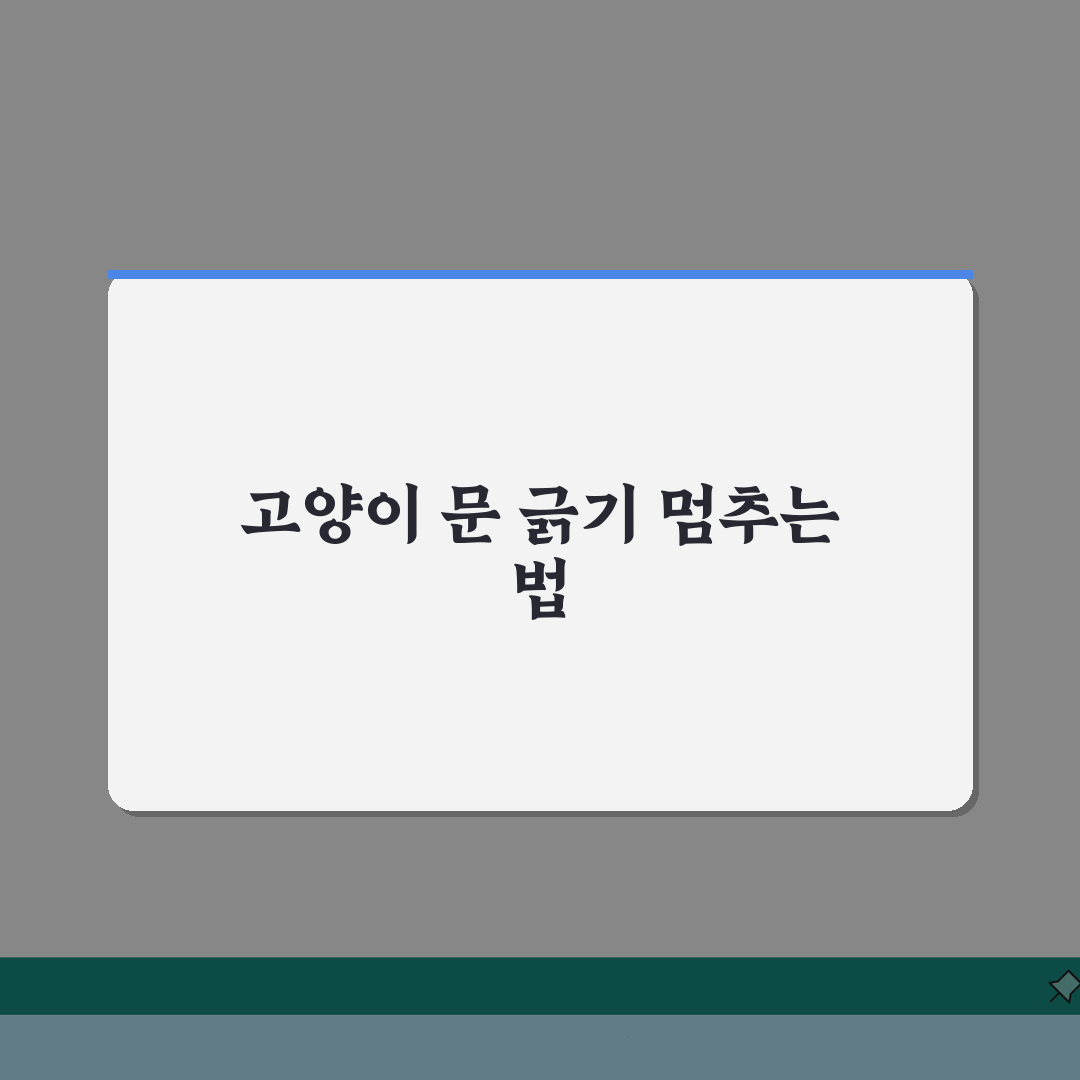 고양이가 문 긁는 행동 어떻게 막나요? 5가지 행동수정 꿀팁