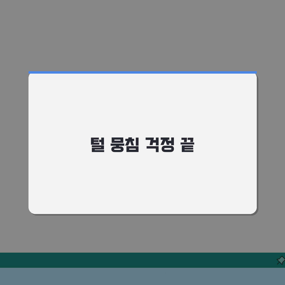 고양이 털 뭉치는 것 방지하는 방법 있나요? 털뭉침, 매트 예방 브러싱 꿀팁