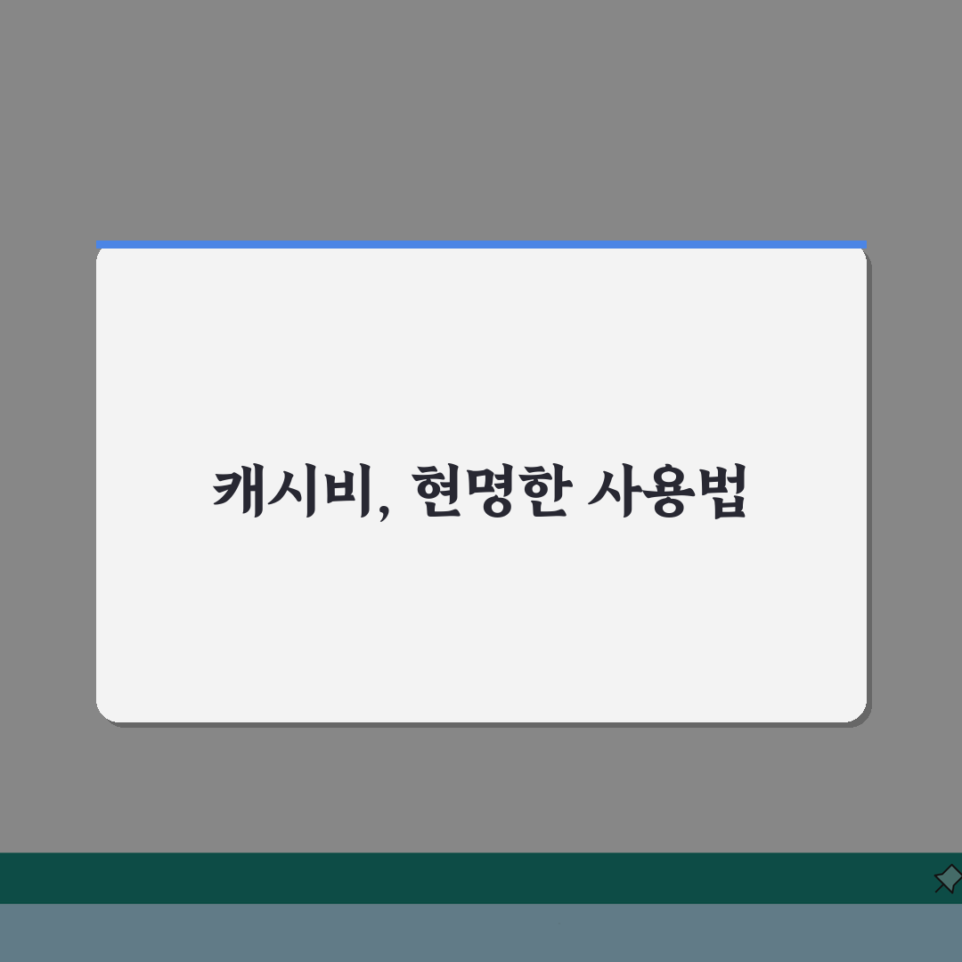 캐시비 업그레이드: 기능추가, 보안강화, 교체시기 총정리